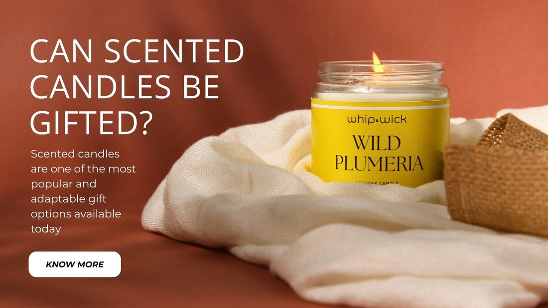 WhipandWick Wild Plumeria scented candle lit and styled aesthetically, promoting scented candles as perfect gift options for any occasion.