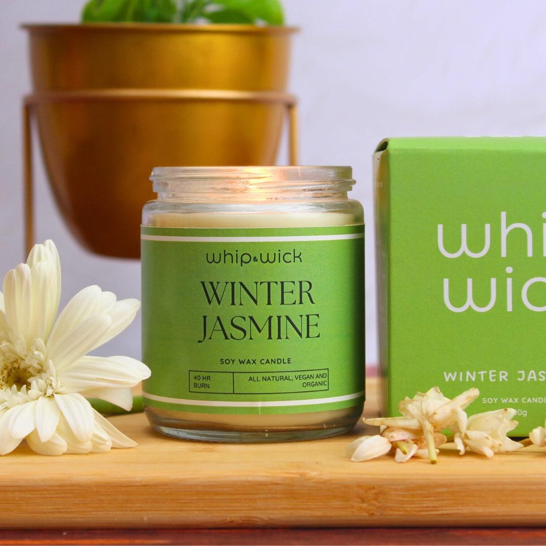 Winter Jasmine Scented Candle blends jasmine, honey, green leaves, and musk for a calming, refreshing winter fragrance experience.
