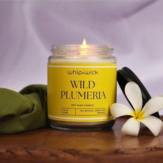 Wild Plumeria Scented Candle featuring plumeria, citrus, green moss, aqua, and amber for a refreshing floral, citrus, and earthy aroma.