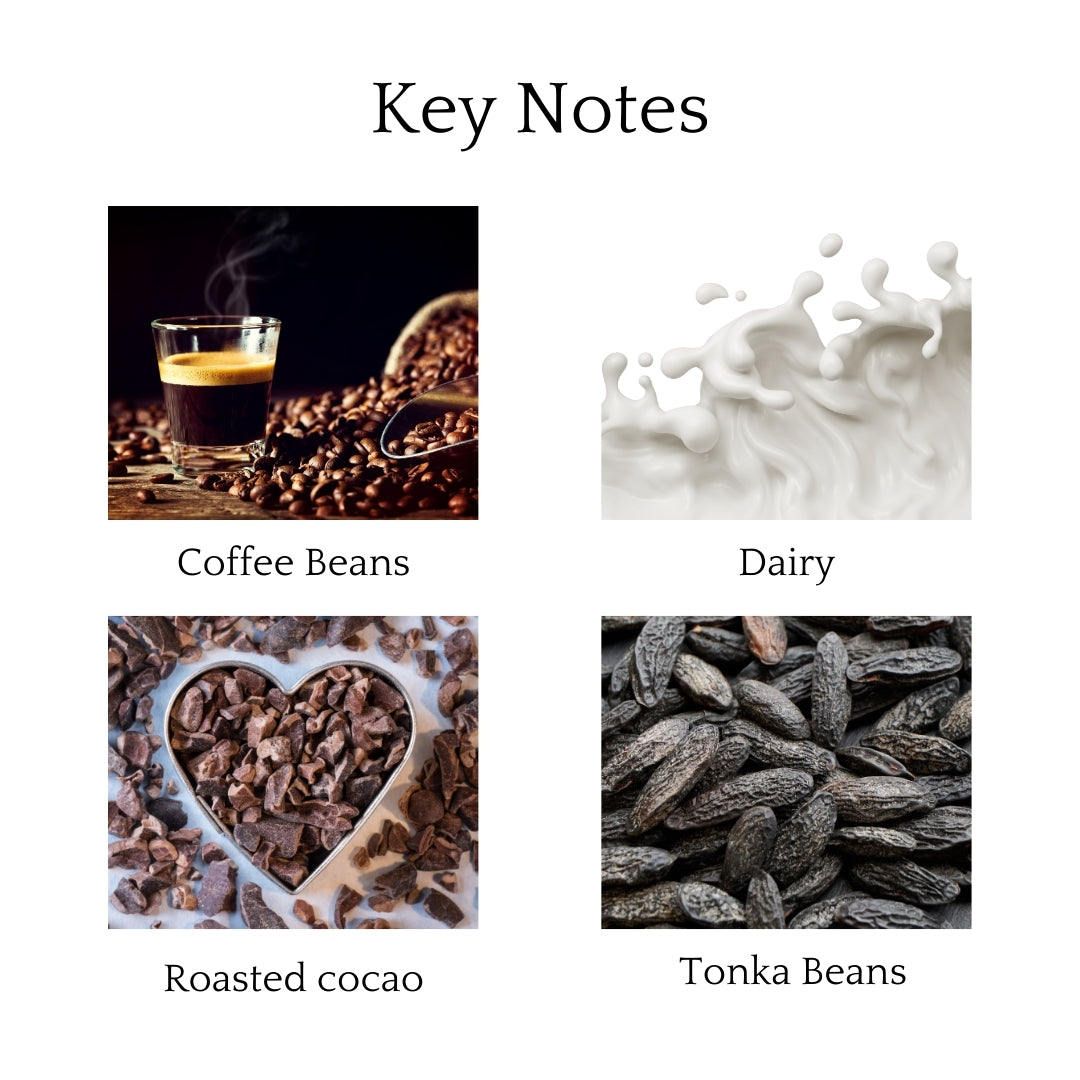 Coffee Shop Wax Melts with rich coffee beans, cocoa, chocolate, caramel, and tonka beans for a cozy café-inspired aroma throughout your space.