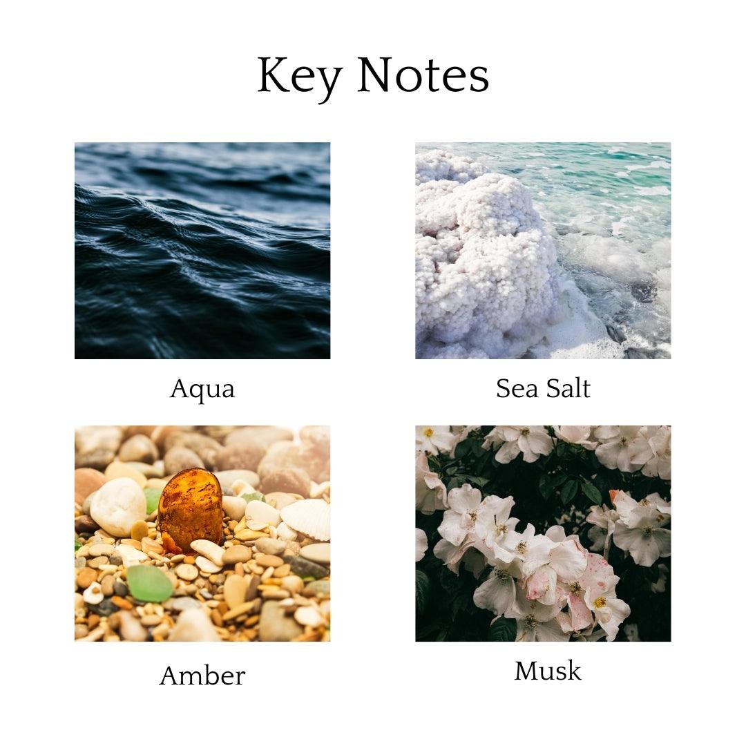 Ocean Mist Scented Candle with fresh aqua, sea salt, amber, musk, and driftwood, evoking a clean, invigorating sea breeze for your space.