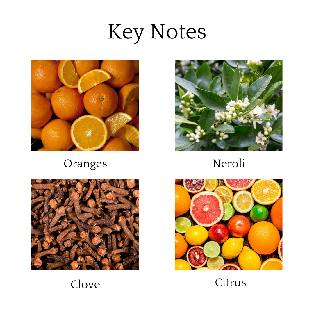 Orange Spice- Wax Tablet
