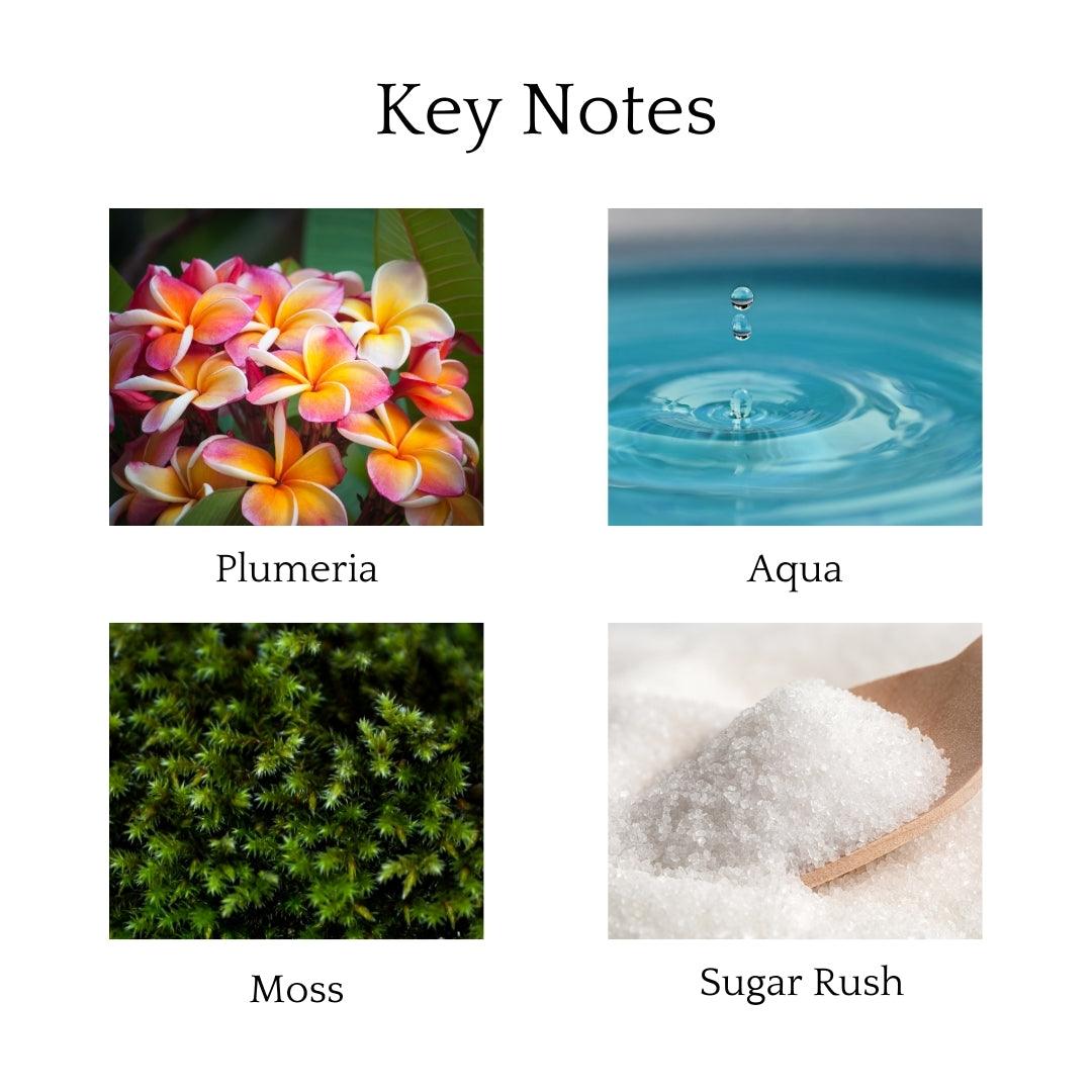 Wild Plumeria Scented Candle featuring plumeria, citrus, green moss, aqua, and amber for a refreshing floral, citrus, and earthy aroma.