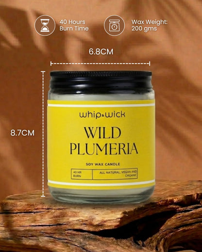 Wild Plumeria Scented Candle