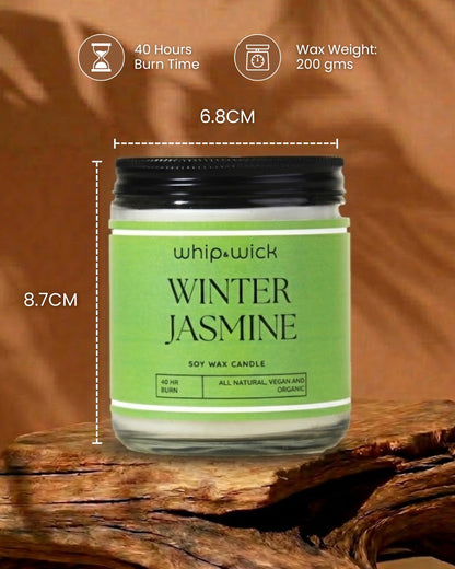 Winter Jasmine Scented Candle