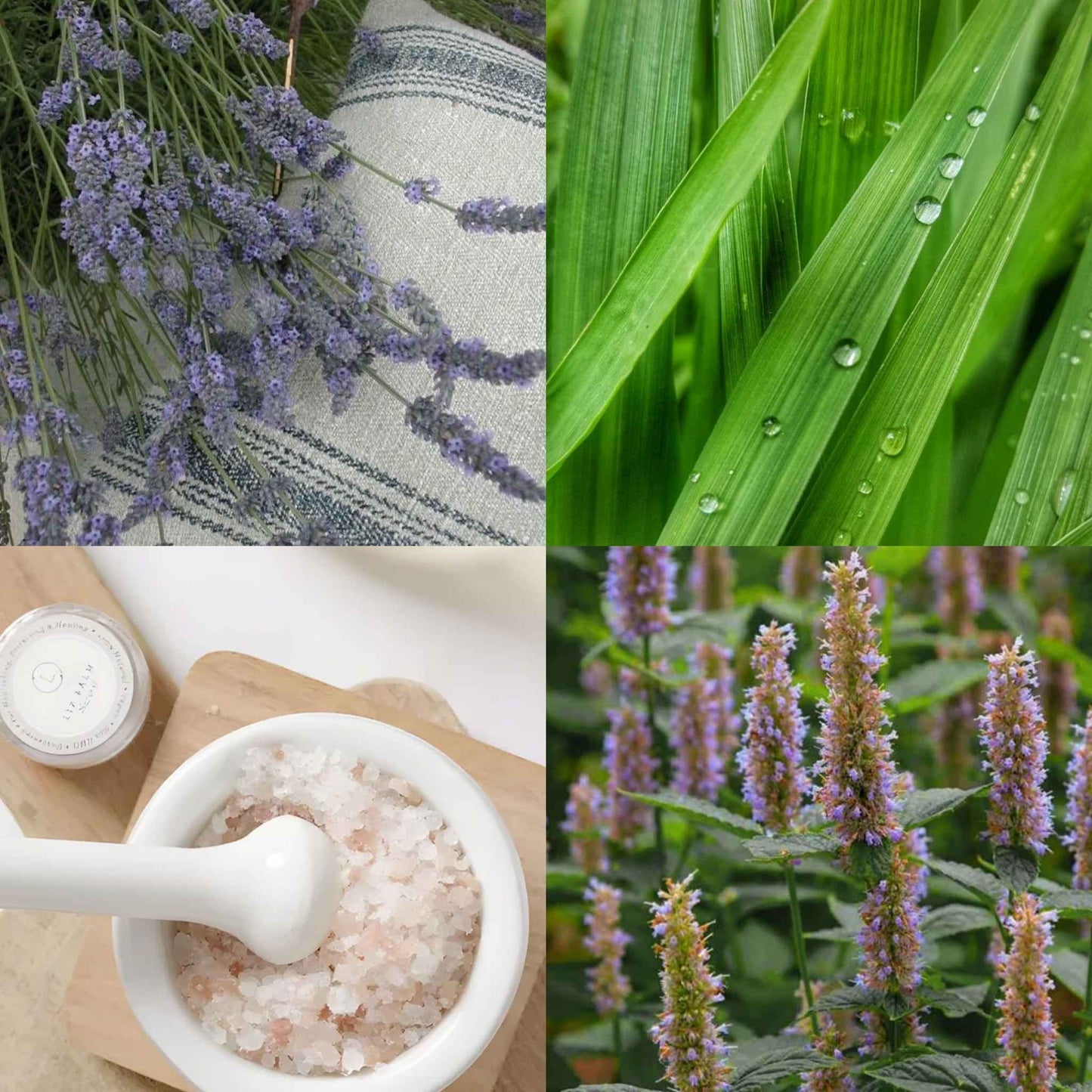 French Lavender - Wax Melts