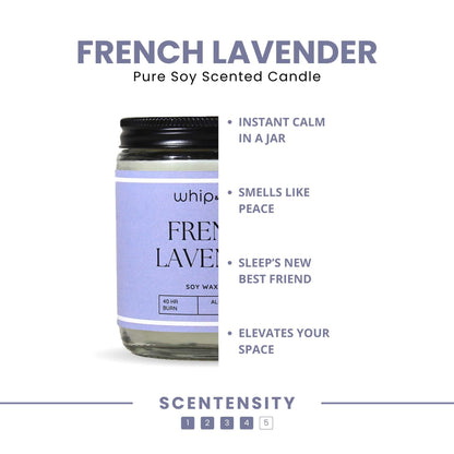 French Lavender Scented Candle