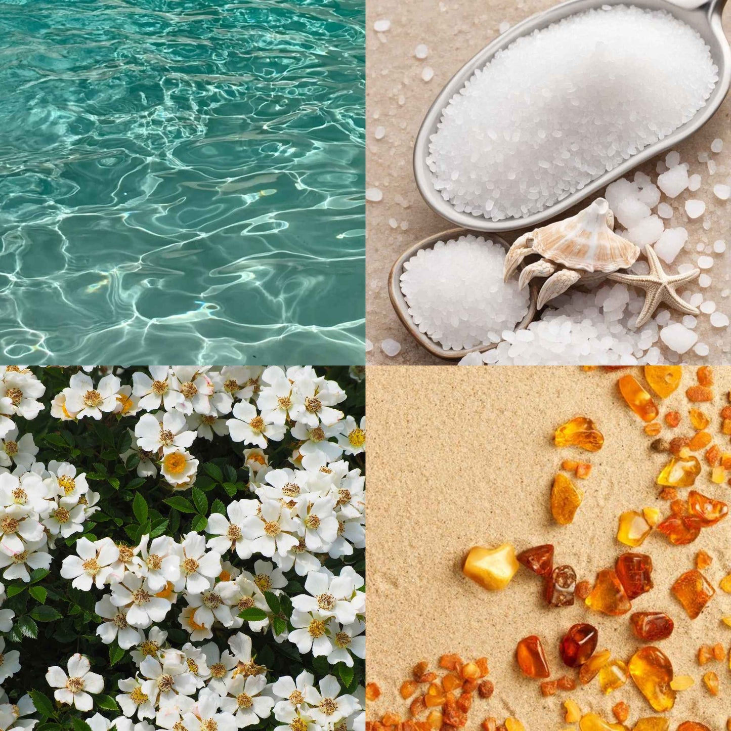 Ocean Mist - Wax Melts