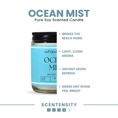 Ocean Mist Scented Candle