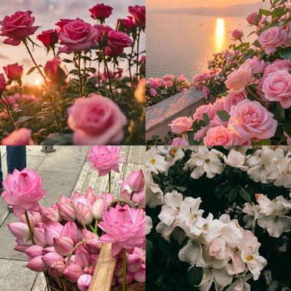 Rose Garden - Wax Melts