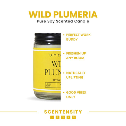 Wild Plumeria Scented Candle