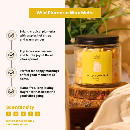 Wild Plumeria - Wax Melts