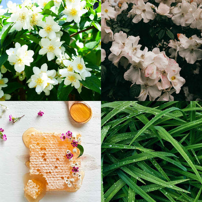 Winter Jasmine- Wax Melts