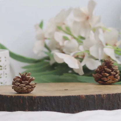 Winter Jasmine Scented Candle