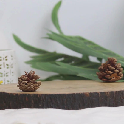 French Lavender Scented Candle