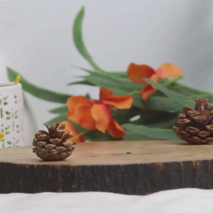 Boulangerie Scented Candle