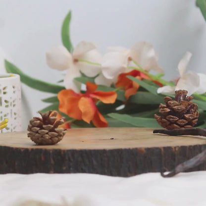 Indian Sandalwood Scented Candle