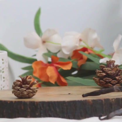 Wild Plumeria Scented Candle