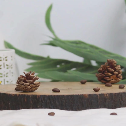 Coffee Shop Scented Candle